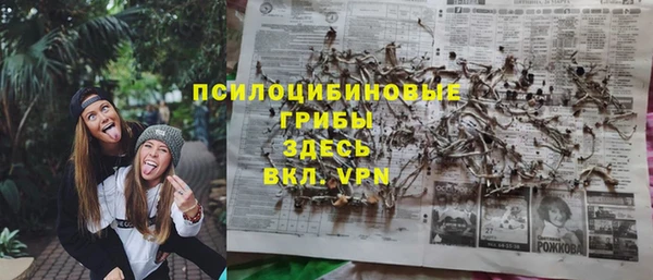 стафф Дмитровск