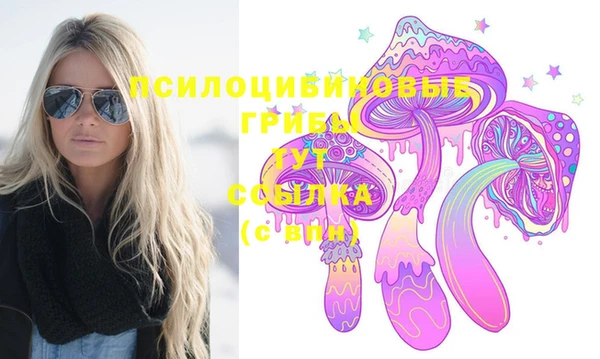 стафф Дмитровск