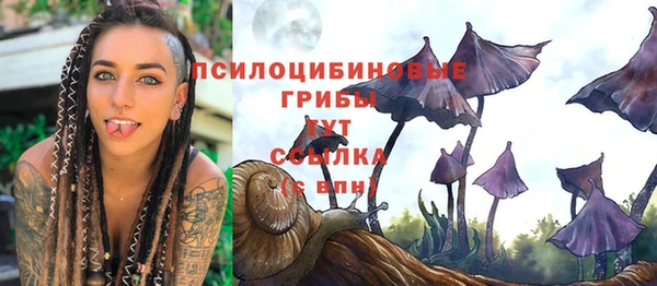 ПСИЛОЦИБИНОВЫЕ ГРИБЫ Дмитров