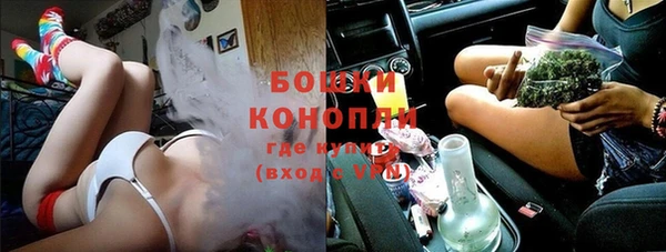 ПСИЛОЦИБИНОВЫЕ ГРИБЫ Дмитров
