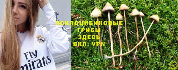 ПСИЛОЦИБИНОВЫЕ ГРИБЫ Дмитров