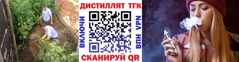 гидра tor  Карачев  даркнет Telegram  ТГК жижа 
