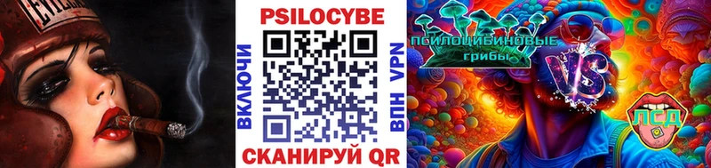 сайты даркнета как зайти  купить наркоту  гидра онион  Карачев  Псилоцибиновые грибы мицелий 